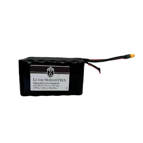 6S2P Li-ion Molicel P42A 8400 mAh 6s2p-MOLP42A-001 фото
