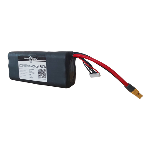 6S2P Li-ion Molicel P50B 10000 mAh 6s2p-MOLP50B-001 фото