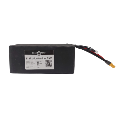 8S3P Li-ion Molicel P50B 15000 mAh 8s3p-MOLP50B-001 фото