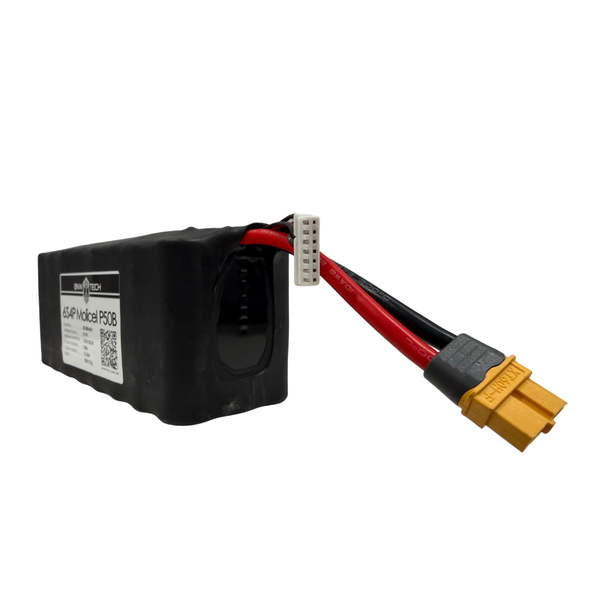 6S4P Li-ion Molicel P50B 20000 mAh 6s4p-MOLP50B-001 фото