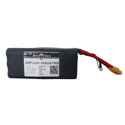 6S3P Li-ion Molicel P50B 15000 mAh 6s3p-MOLP50B-001 фото