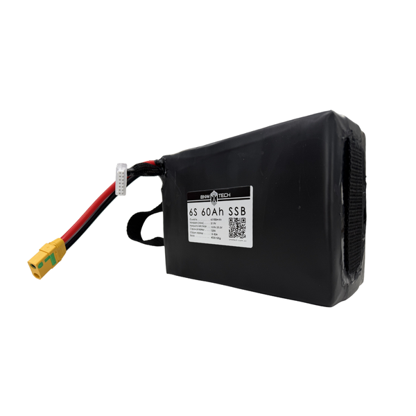 6S 60Ah SSB 6s-SSB60-001 фото